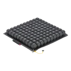 تشک روهو چینی